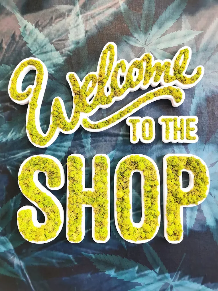 Mur Welcome to the Shop dans la boutique Panacea